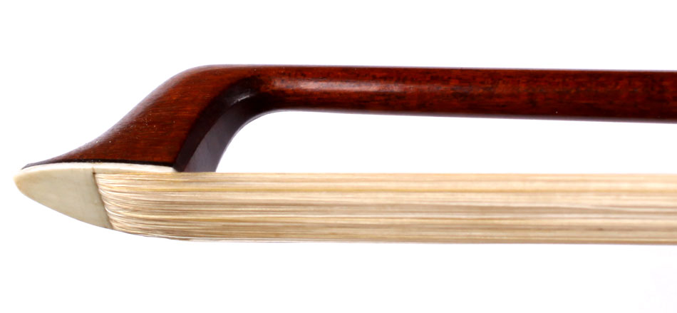 No enlargement available