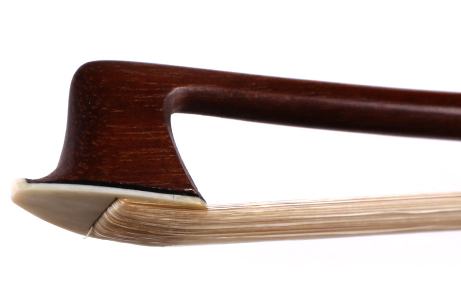 No enlargement available