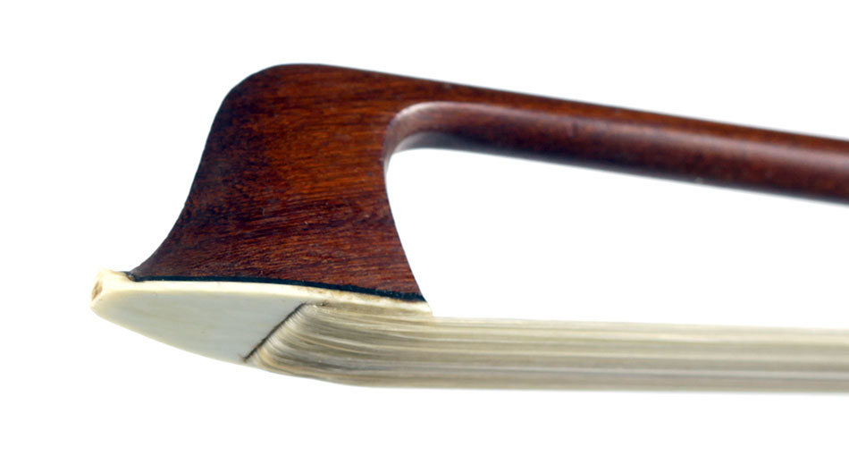 No enlargement available