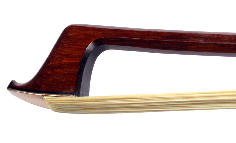 No enlargement available