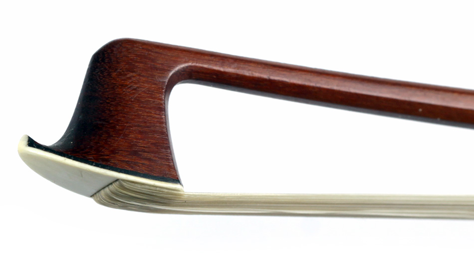 No enlargement available