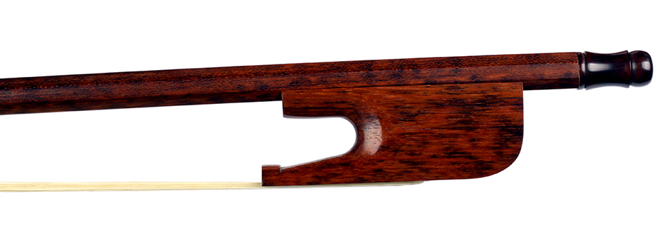 No enlargement available