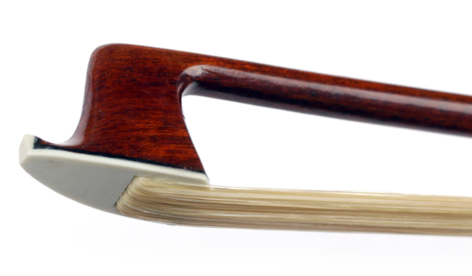 No enlargement available