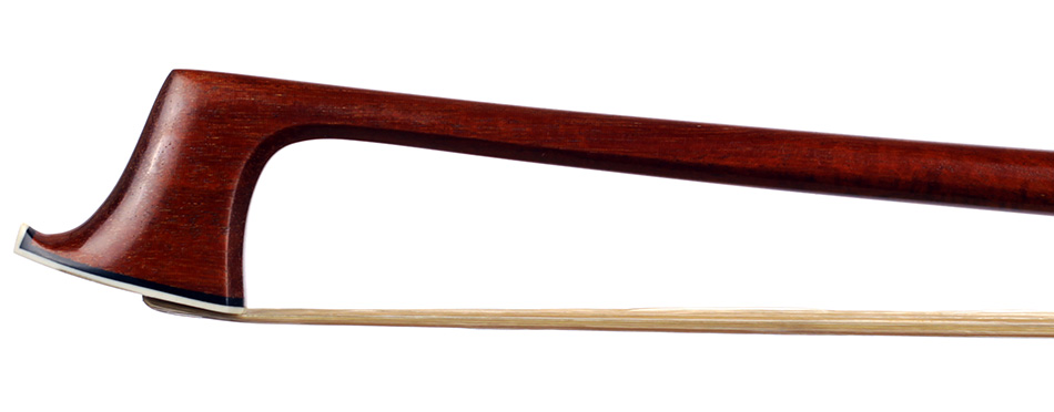 No enlargement available