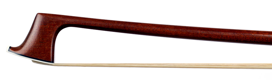 No enlargement available