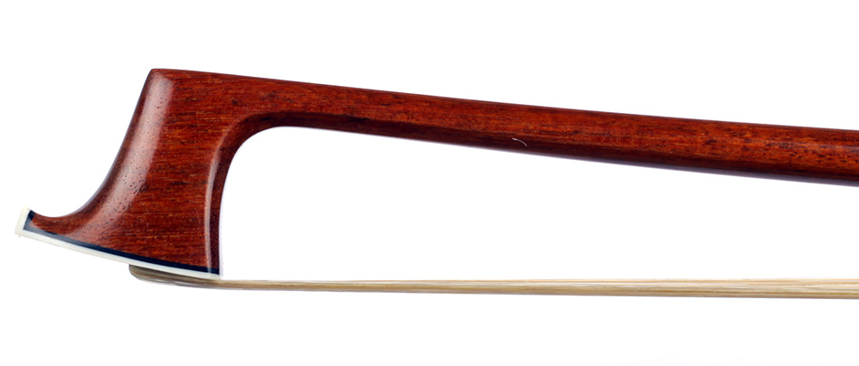 No enlargement available