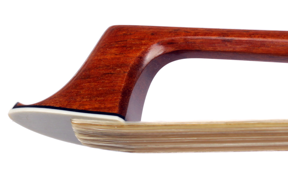 No enlargement available