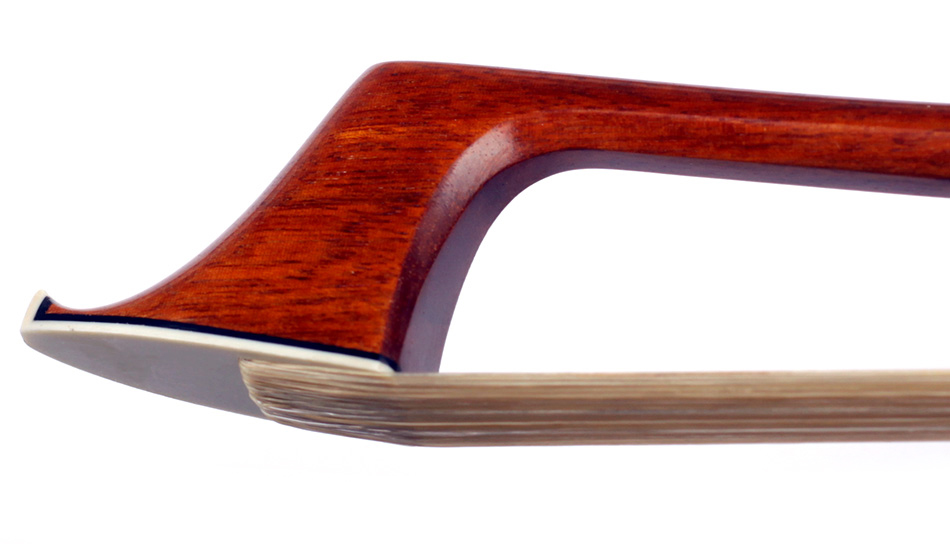 No enlargement available