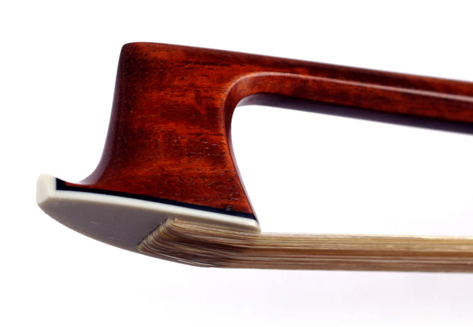 No enlargement available