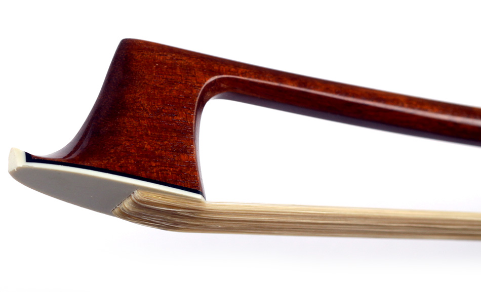 No enlargement available