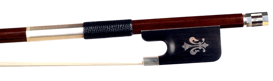 No enlargement available