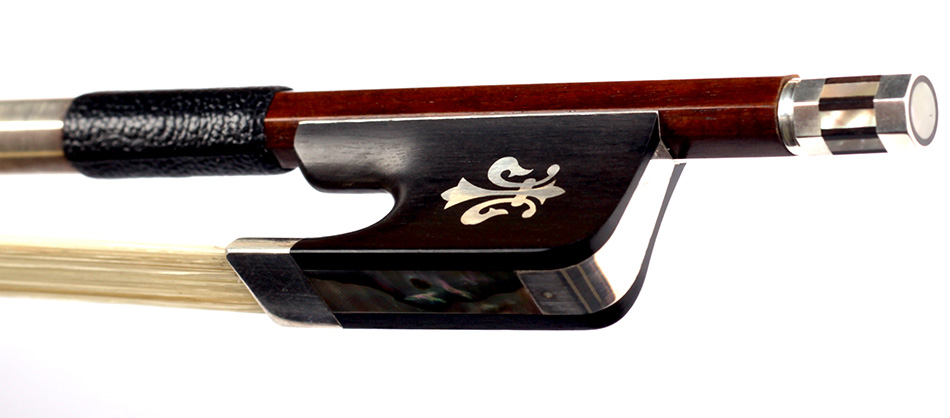 No enlargement available