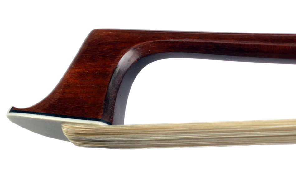 No enlargement available