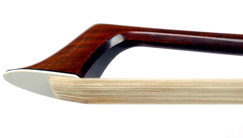 No enlargement available